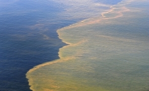 Deepwater Horizon Oi Spill